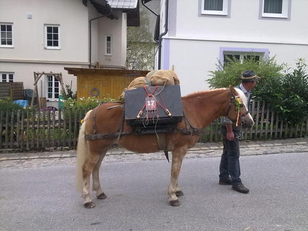 Reise 2 Z Ammsitz N Verkosten Musizieren Bauernherbst Im