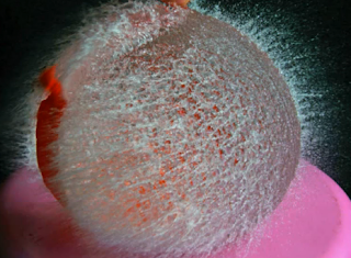 amazing and weird waterball