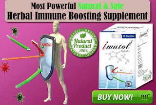 Herbal Remedies To Build Immune System