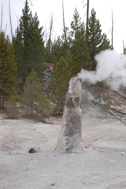 Steam venting from Monument Geyser in Yellowstone