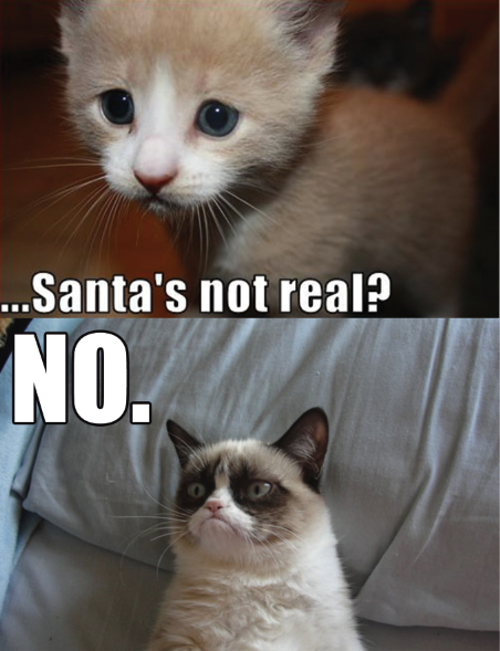 Grumpy Cat Saying No | Funny Collection World