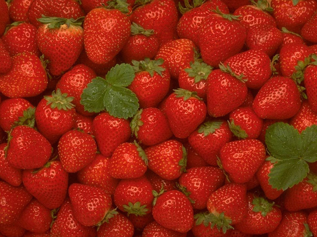 http://2.bp.blogspot.com/-MP248YcD8CI/TcCxLLU4vrI/AAAAAAAAAD4/PY-4MhUMNqQ/s1600/Strawberry-Wallpaper-fruit-6102241-1024-768.jpg