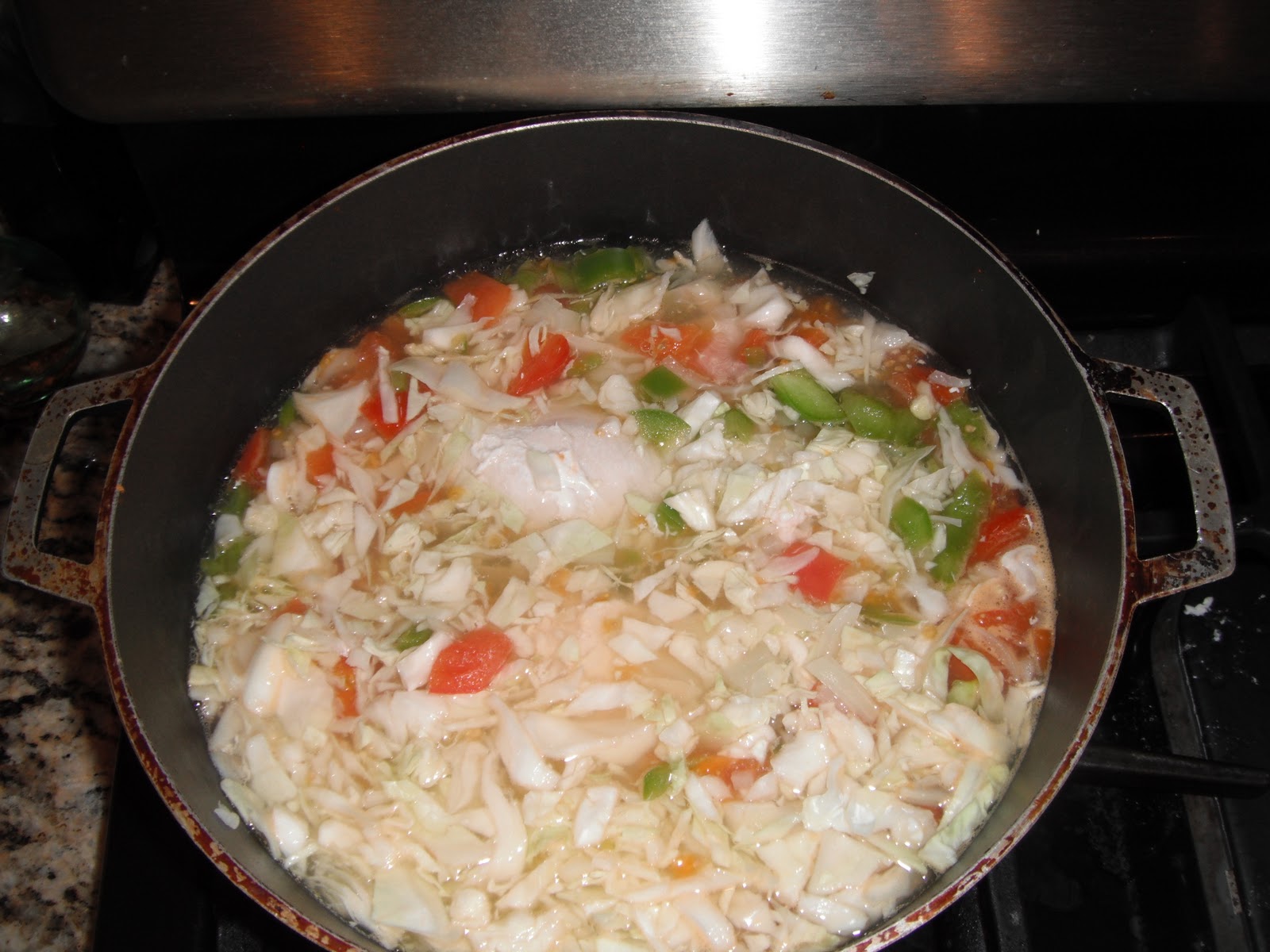 PARTY Dukan Diet Easy Chicken Soup Recipe