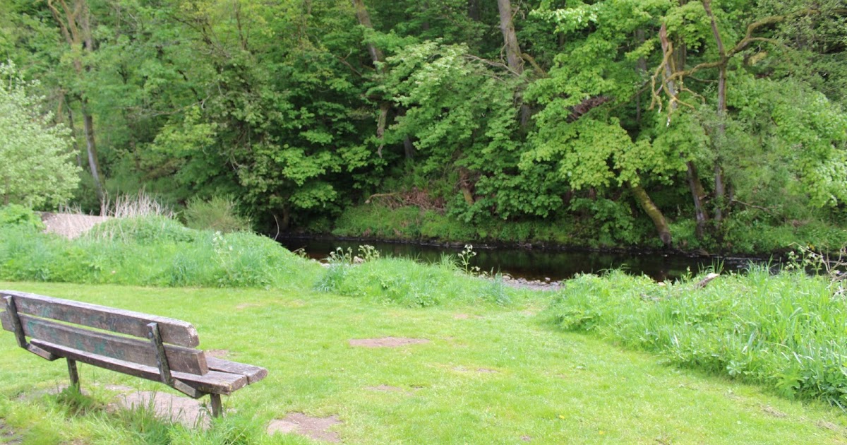 The Batton (Paton) Ancestree Darvel the Water lip, River Irvine