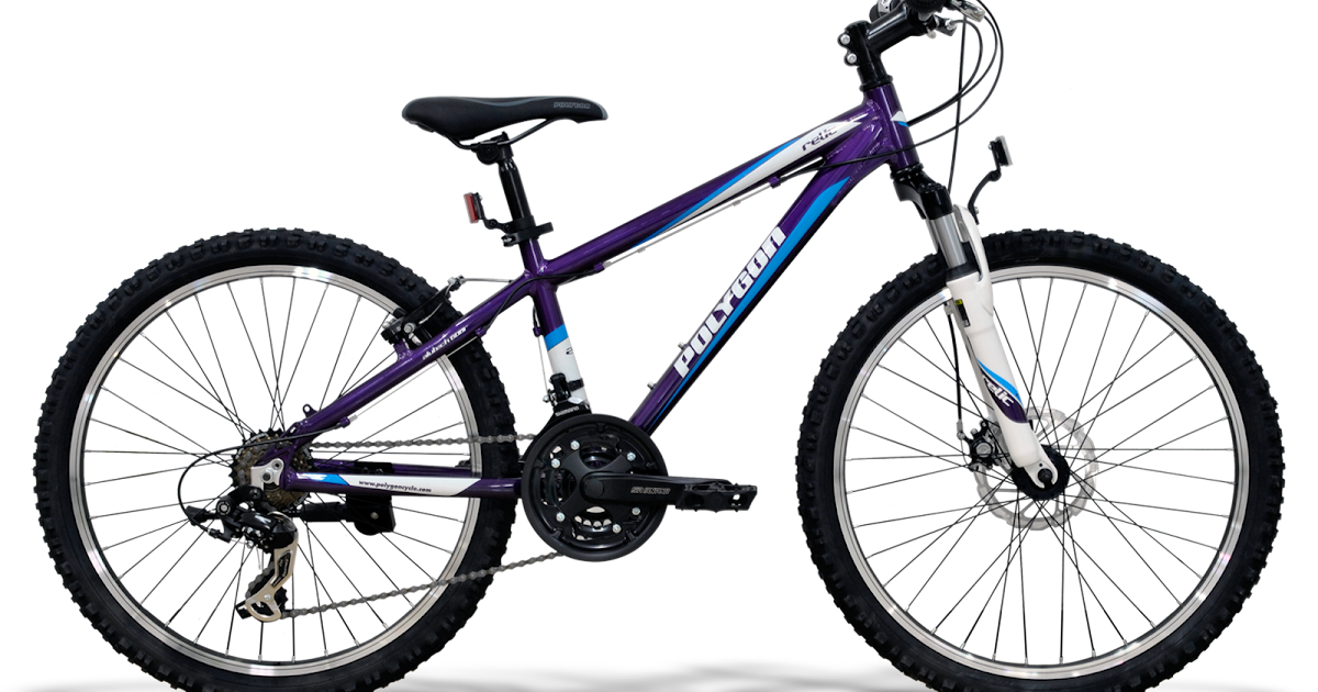 SEPEDA NUSANTARA: SEPEDA POLYGON MTB 24