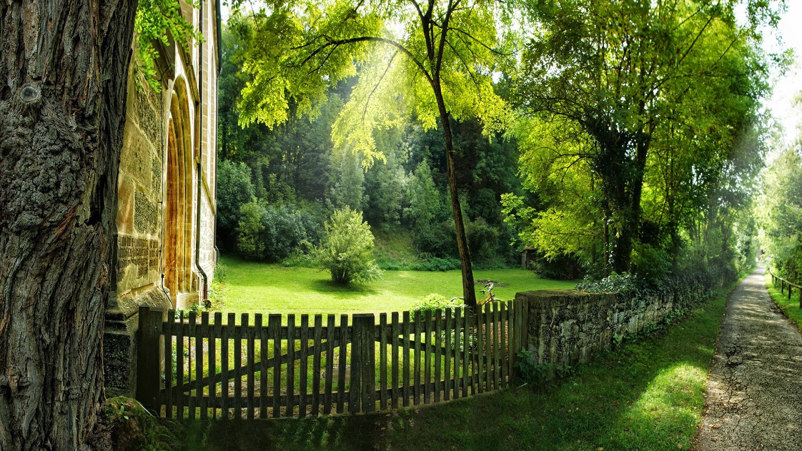-Green-Nature-Fences-Forest-Garden-Fresh