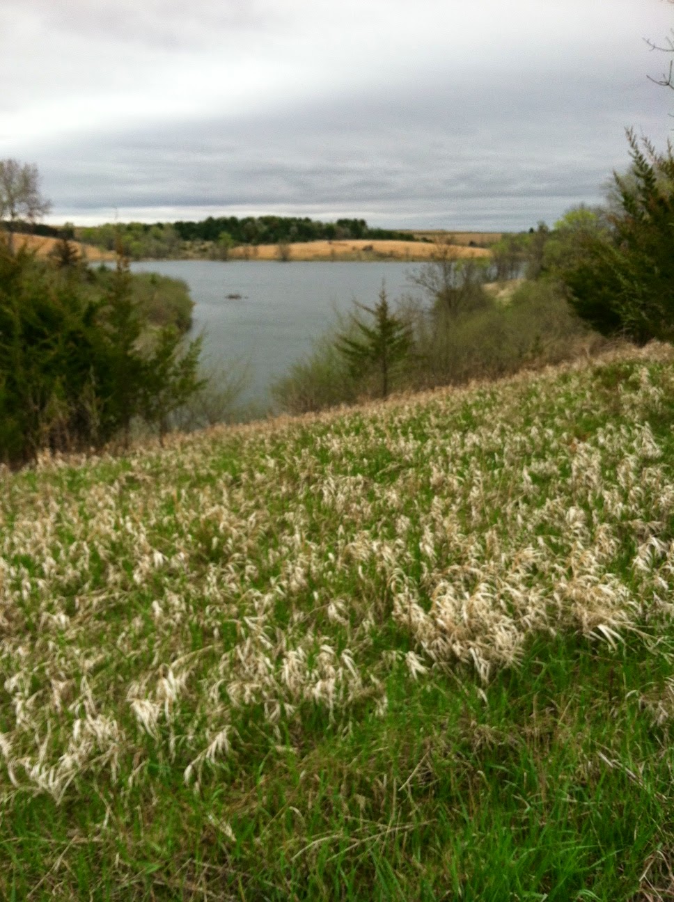 A walk at Prairie Rose State Park