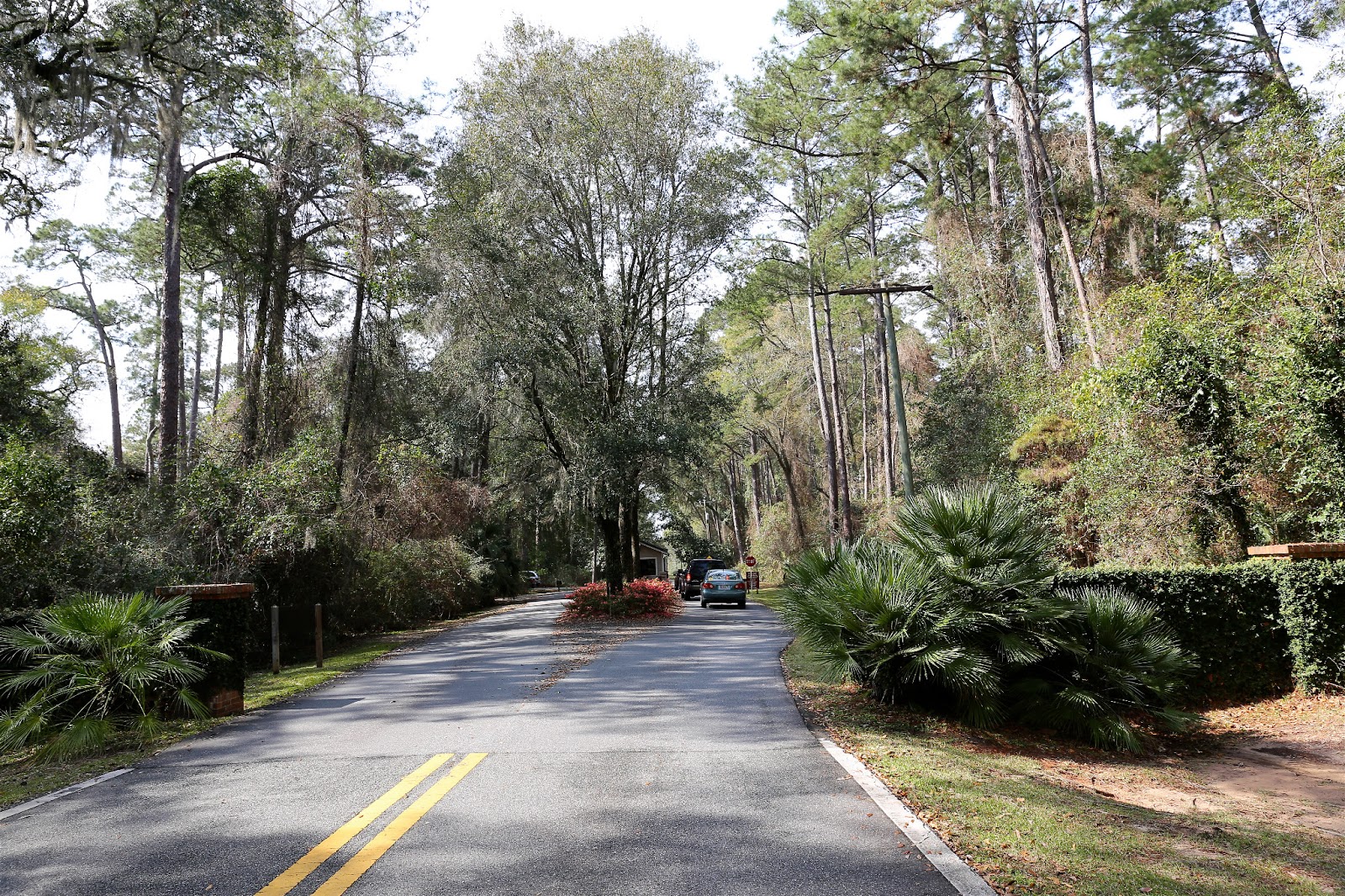 Sweet Southern Days: Maclay Gardens in Tallahassee, Florida