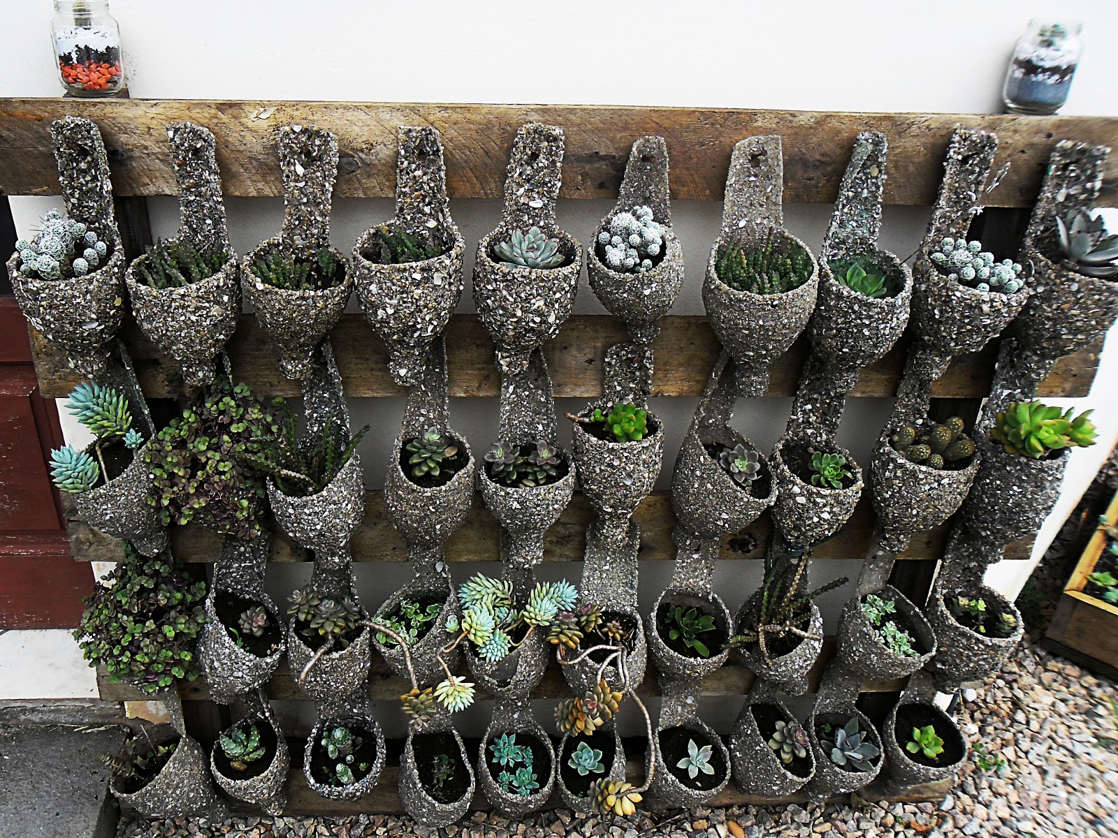 fazer jardim vertical garrafa pet: com a parte superior da garrafa com lindas suculentas plantadas fazer jardim vertical garrafa pet: com a parte superior da garrafa com lindas suculentas plantadas