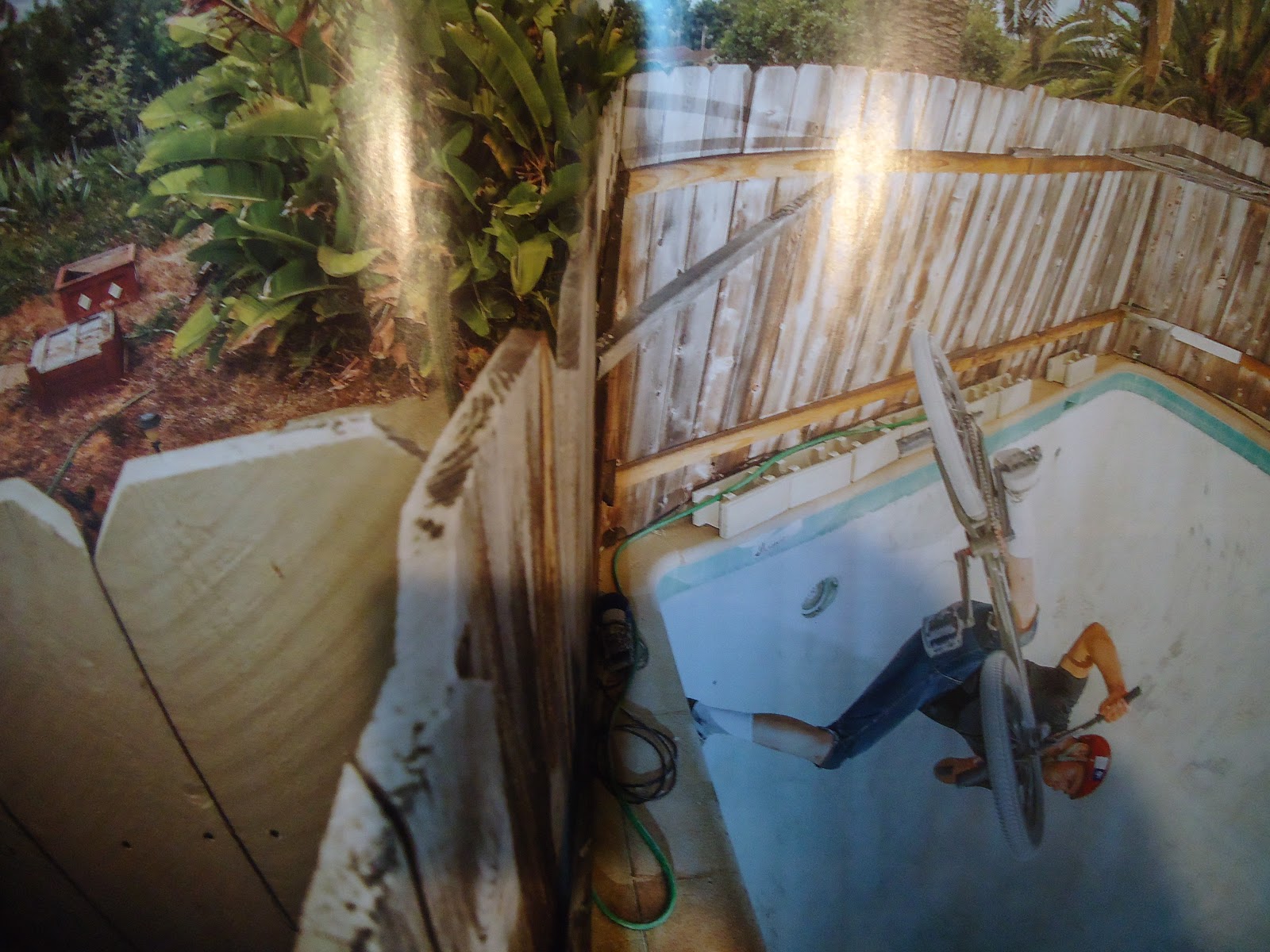 Cory Nastazio Sister