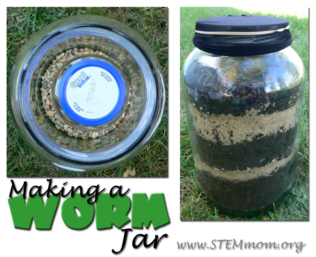 Make an earthworm habitat in a jar. Earthworms, Science for kids