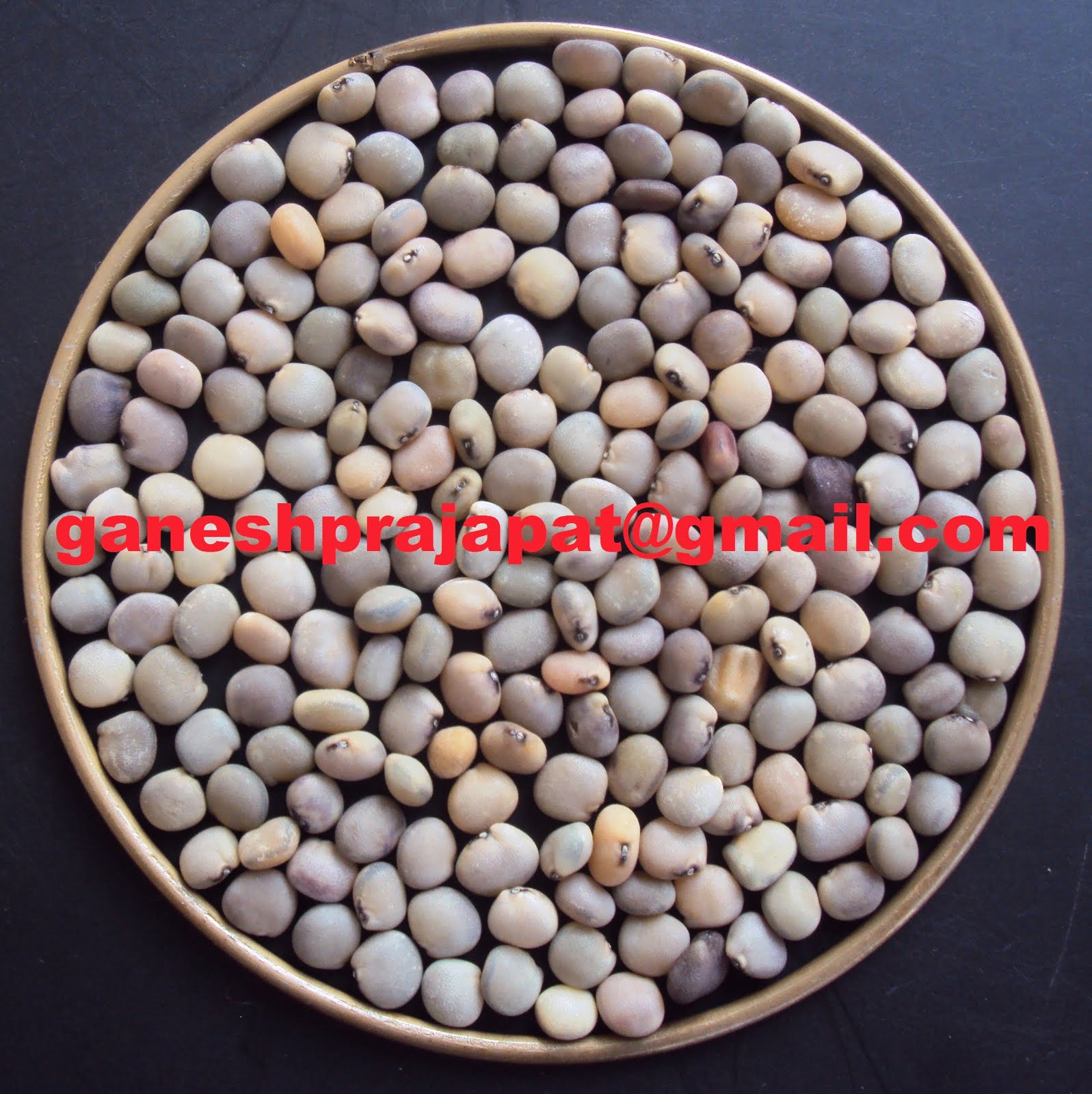 GUAR GUM INFORMATION AND GUAR GUM CULTIVATION IN INDIA Guar Gum
