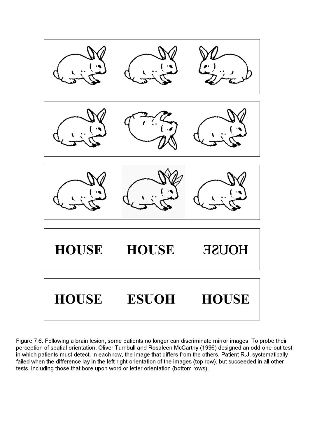 Worksheet Dyslexia Games For Kids games for children with dyslexia laptuoso motivated parent successful child backward mirror writing in
