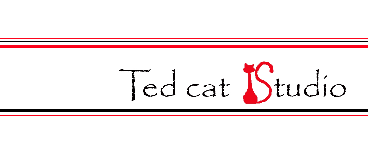 Ted cat Studio