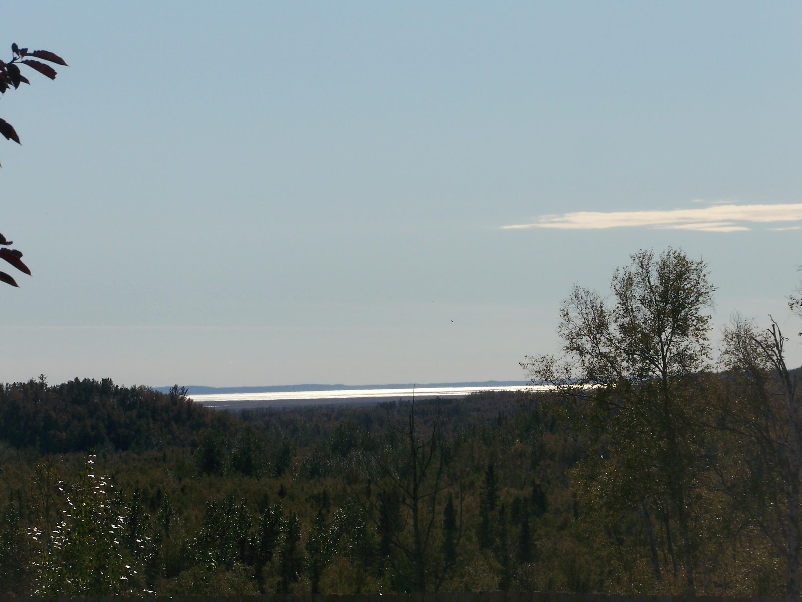 House For Sale MatSu Valley Alaska