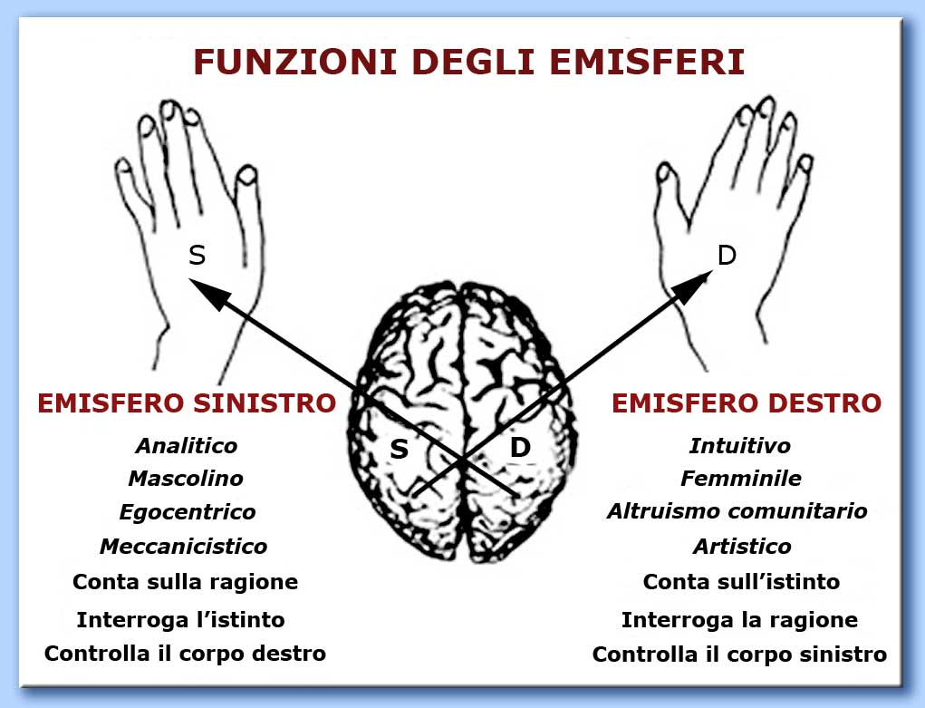 Ictus Emisfero Destro E Sinistro Differenze NUOVA DIDATTICA: Funzioni divise per gli emisferi cerebrali