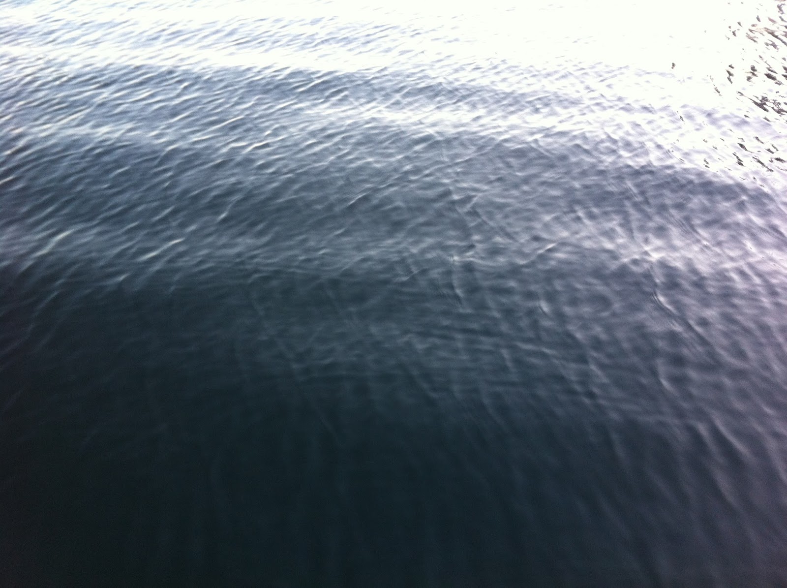 The Ebb and Flow Southeast Portland Parish