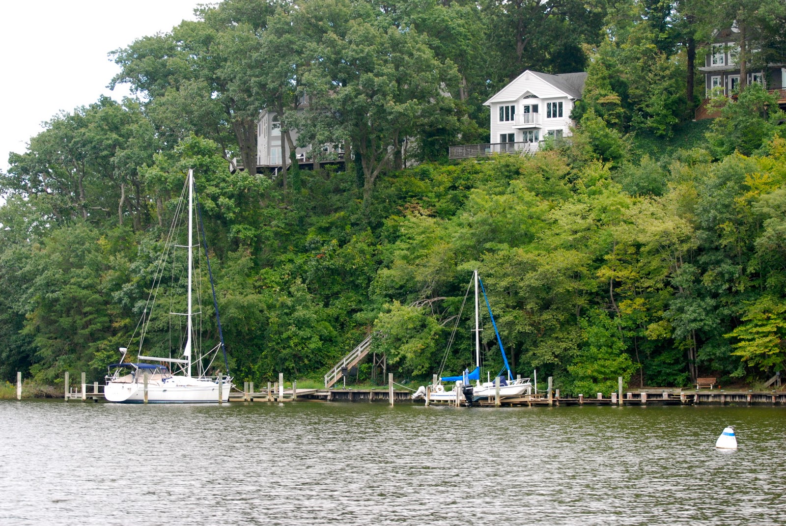 Oasis's Journey Severn River, MD