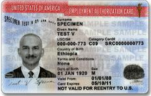 how do i check the status of my employment authorization card