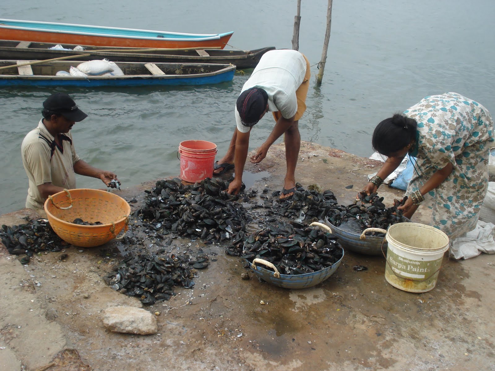 Mussels and mussels...alive aliveo! Mimosas & Samosas
