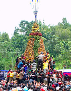 Wisata Kampung Durian di Jombang tradisi kenduren, durian, wisata jombang, wonosalam