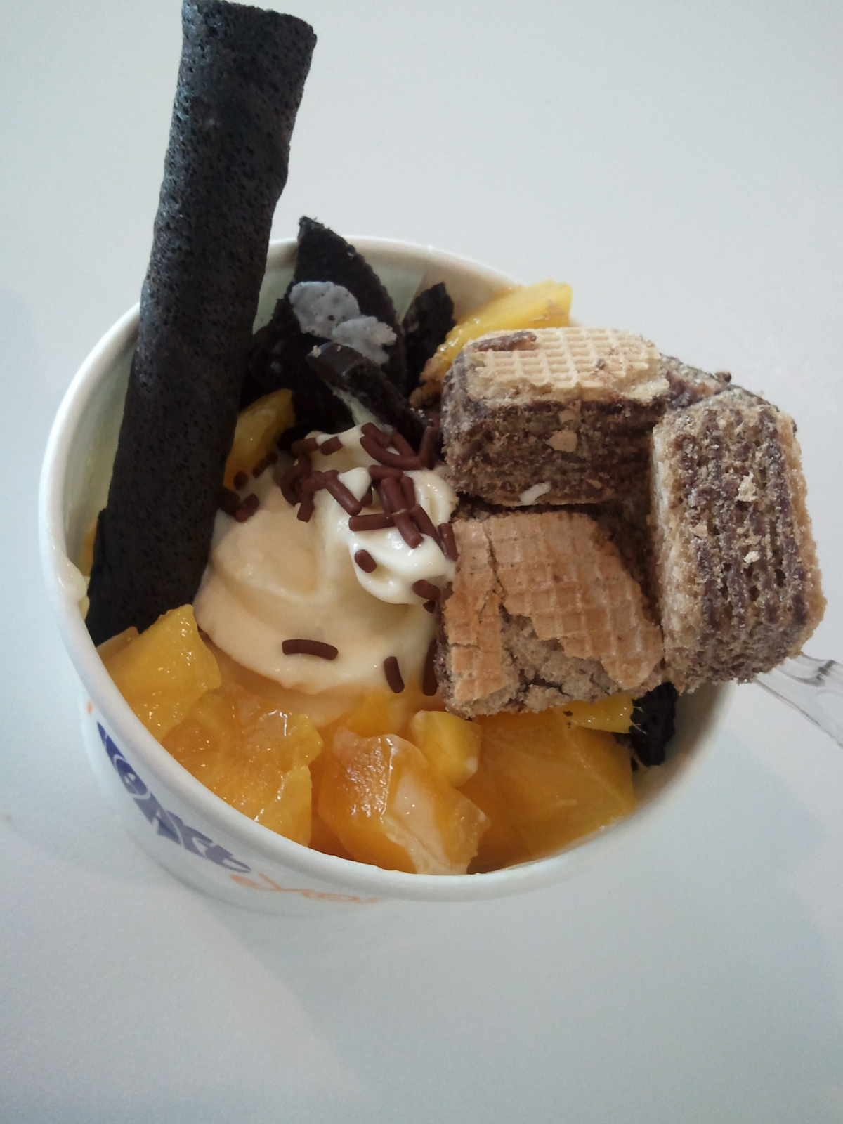 Tasty Or Not? I Heart Yogurt's Frozen Yogurt VS. McDonald IceCreams