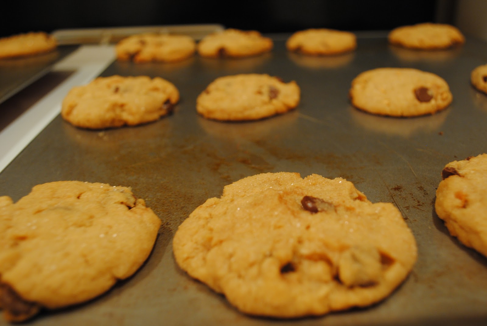 Peanut Butter Chocolate Chip Cookies a la Magnolia Bakery The Ghost Guest