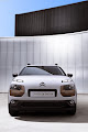 C4 Cactus