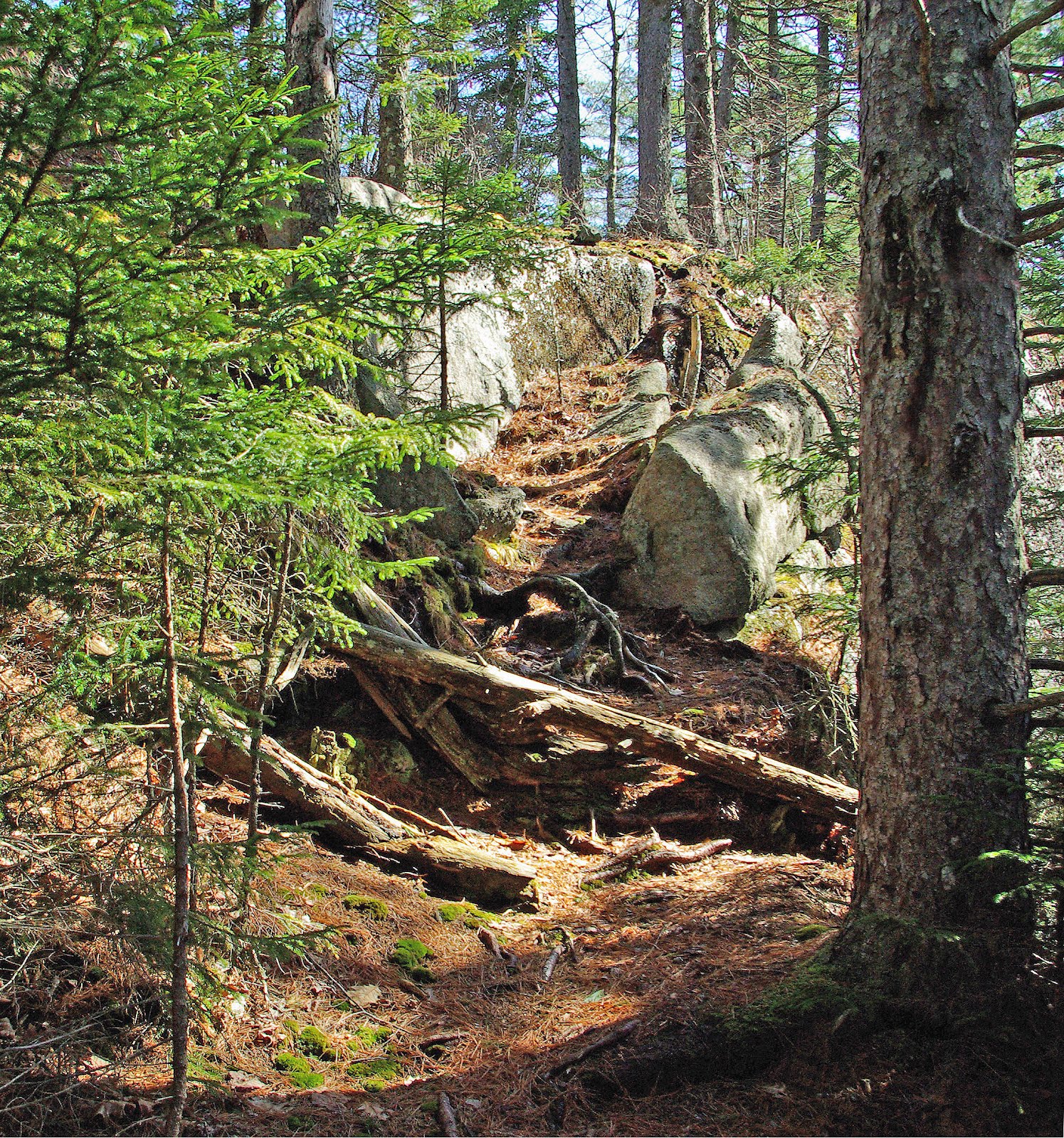 Hiking in Maine with Kelley 4/13/12 Tunk Mountain from Myrick Pond Road