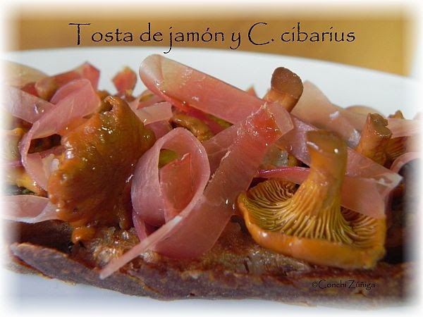 Tosta De Jamón Y C. Cibarius
