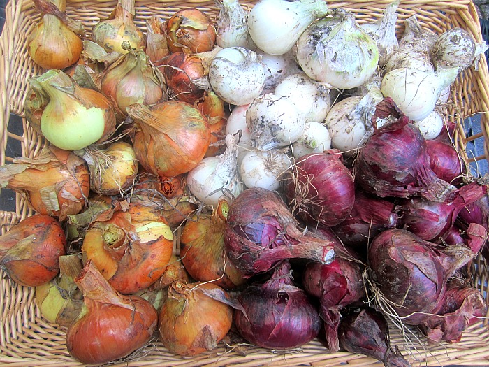 Shallot Confit with Red Wine - your next level onion jam - Quince