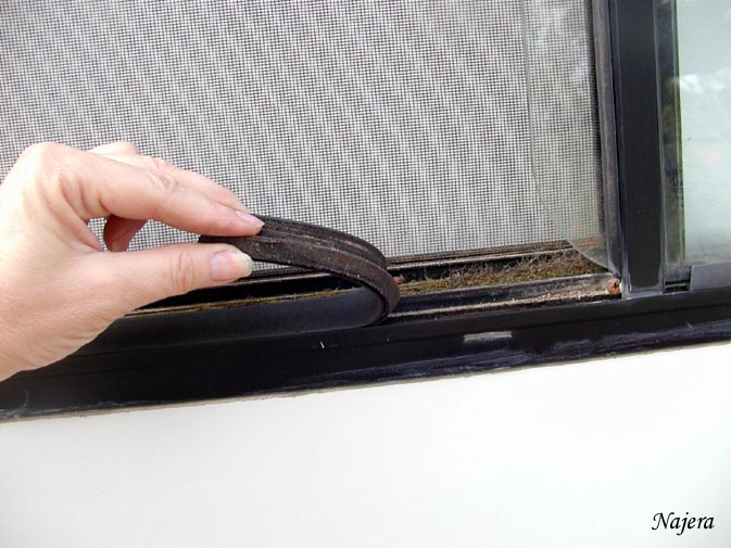 TexCyn Life Showin' mah durty side leaky widows, check!