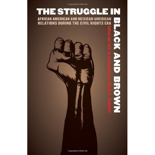 struggle for the chicano The chicano movement has been used by historians to describe a moment of ethnic empowerment and protest among americans of mexican descent beginning in the 1960s. struggle for the chicano The chicano movement has been used by historians to describe a moment of ethnic empowerment and protest among americans of mexican descent beginning in the 1960s.