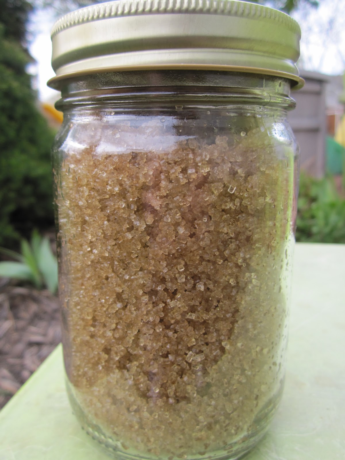Nearly Natural Nicole Raw Sugar Scrub