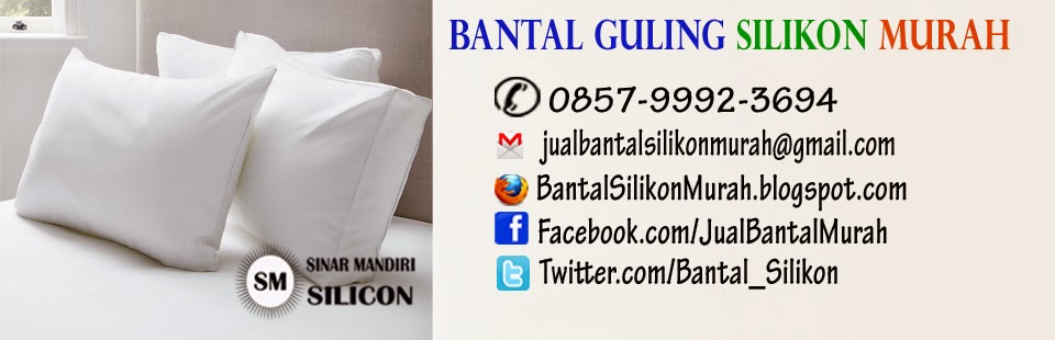 Jual Bantal Guling Silikon Murah Meriah 