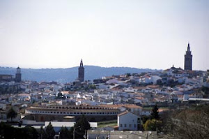 VISITAS GUIADAS-JEREZ DE LOS CABALLEROS