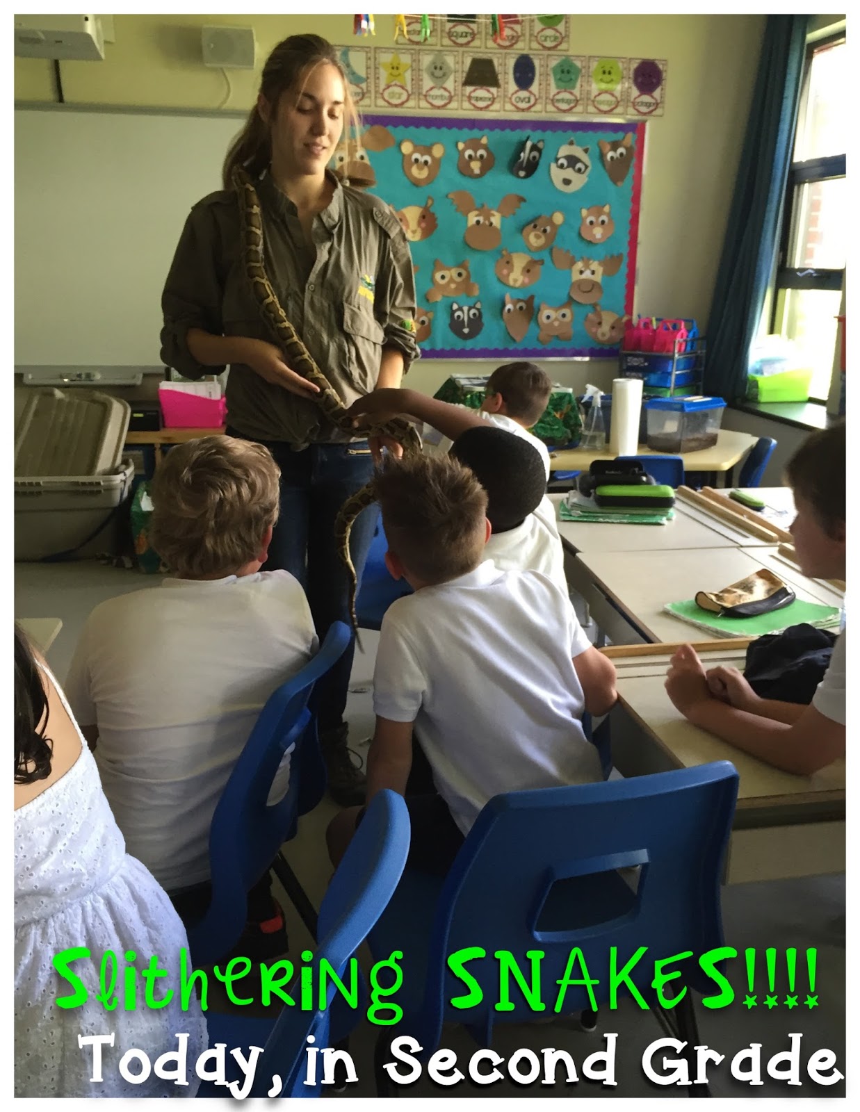 When Reptiles INVADE the Classroom Today in Second Grade