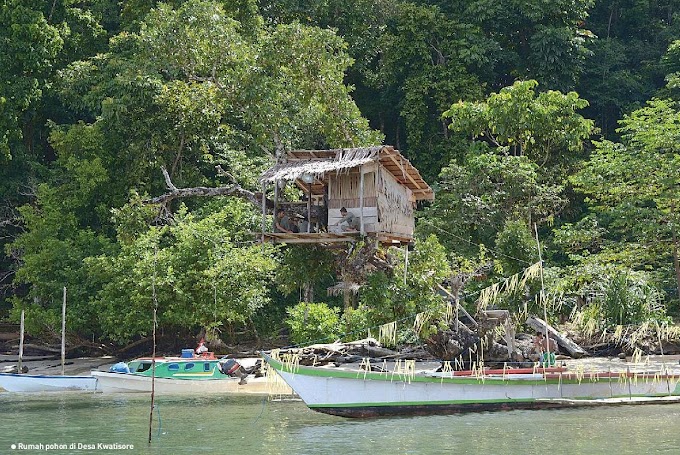 Seri Wisata Nabire 1 : Berjumpa 'Hantu' di Nabire