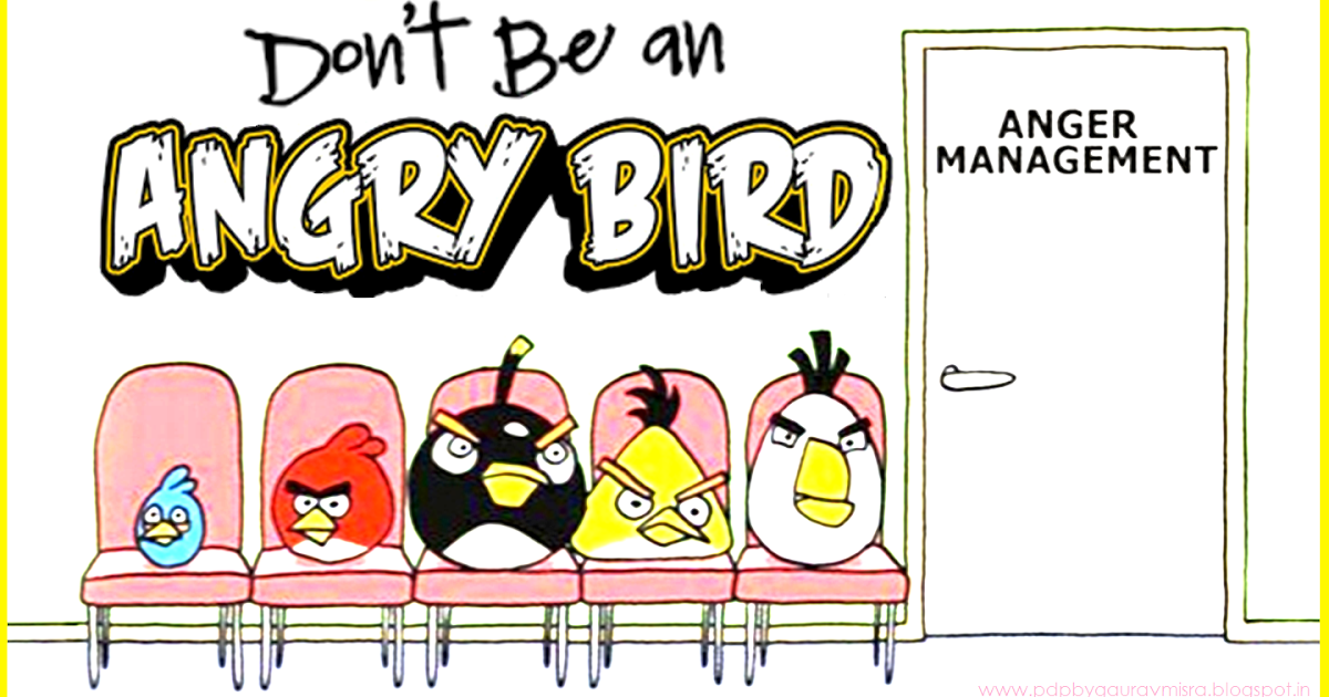 PDP By Gaurav Misra DON'T BE AN ANGRY BIRD