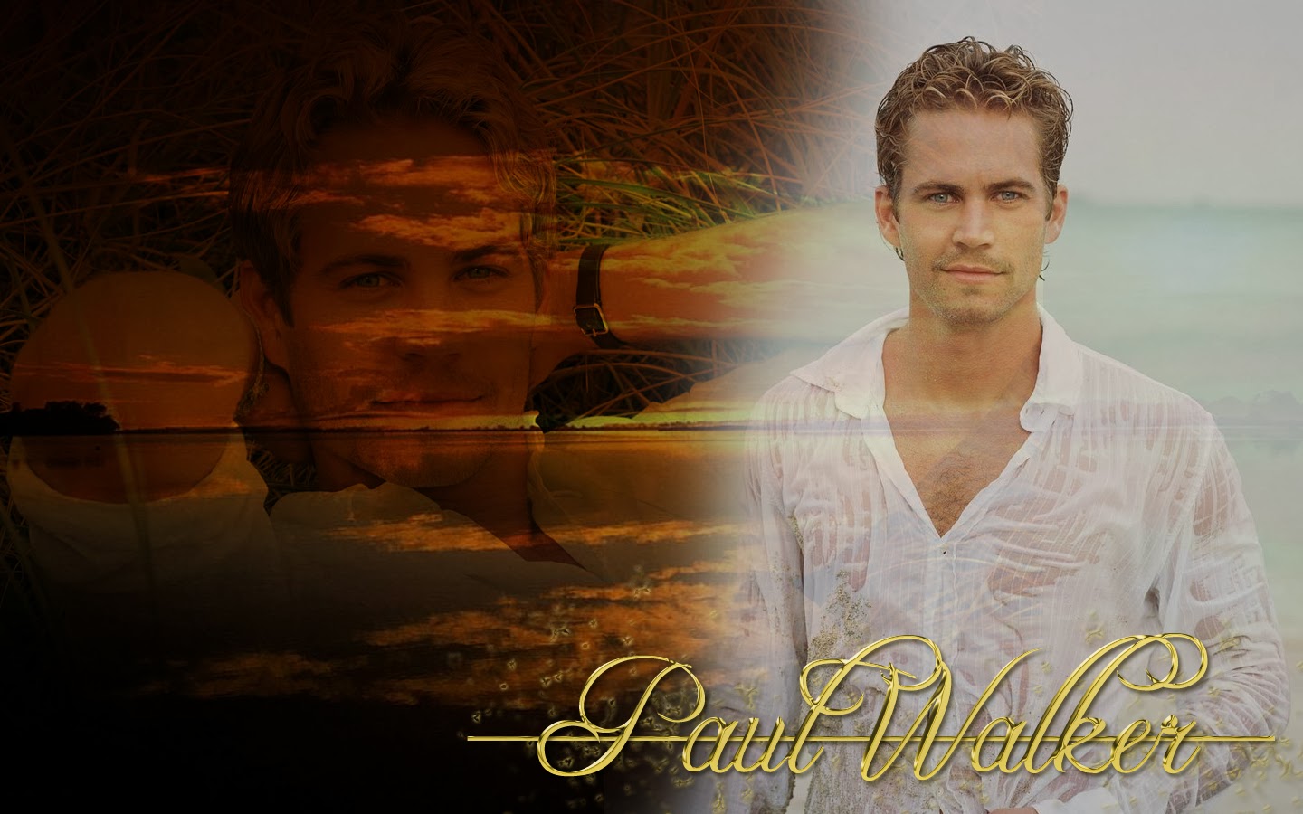 Wallpaper: Goodbye Paul Walker…Goodbye