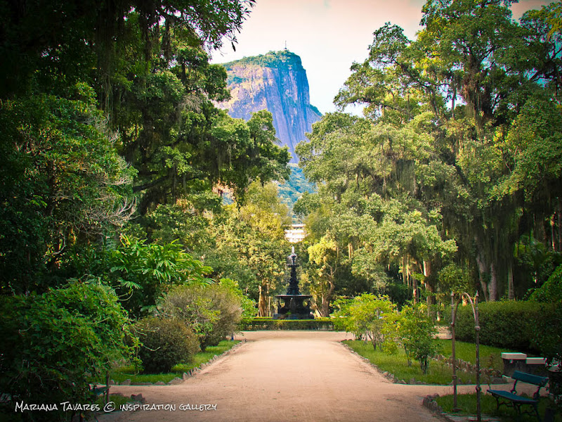 casamento no jardim botanico rio de janeiro:Fonte Jardim Botânico, Rio de Janeiro casamento no jardim botanico rio de janeiro:Fonte Jardim Botânico, Rio de Janeiro