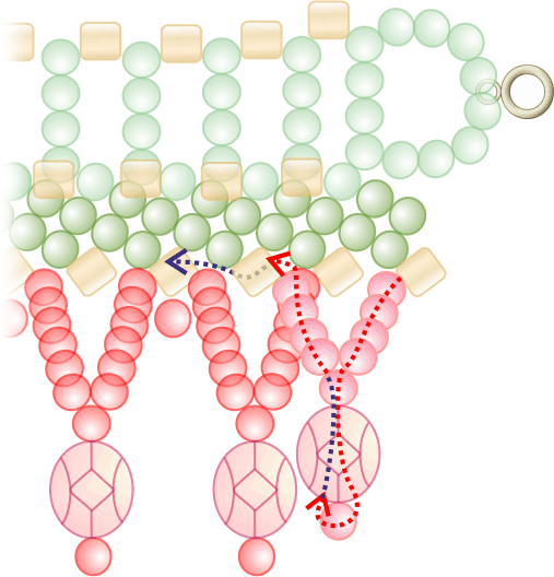 صناره+نت ... up 5f 1g 1f go with thread up through the 1 g and 5th f beads just