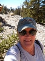 Ancient Bristlecone Pine Forest 10/2012