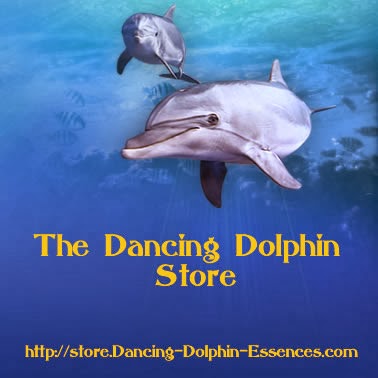 Takara's Dancing Dolphin Store with all her products, programs, private sessions, and more