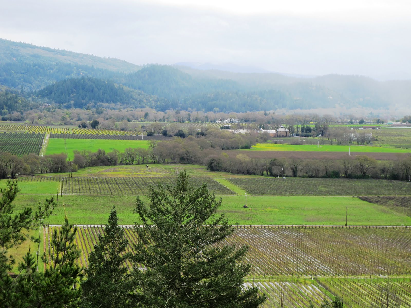 Sterling Vineyards Tour Coupon Sterling Vineyards Tour Coupon