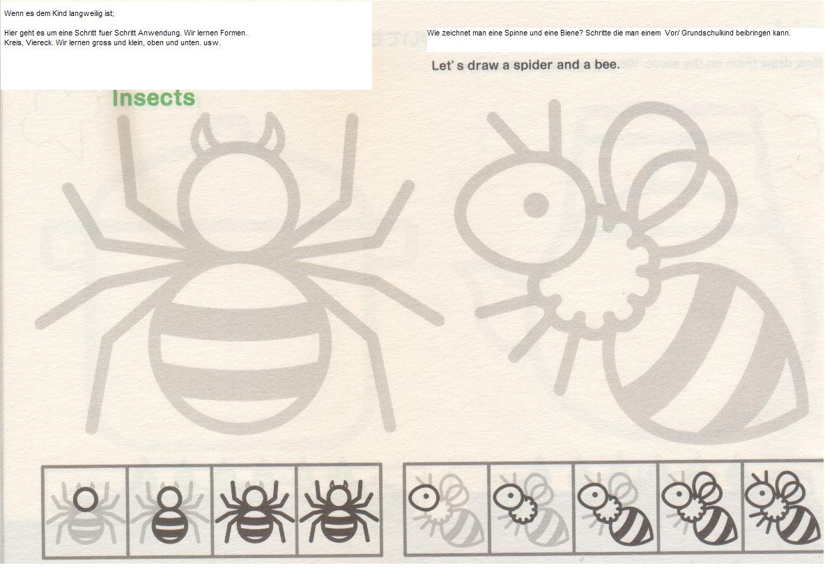 Spinne Von Oben Zeichnen Ein Spinnennetz Zeichnen