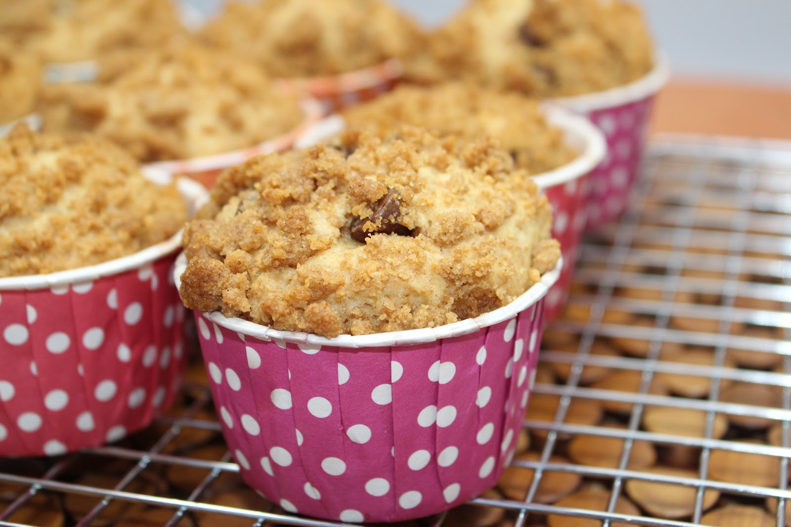 Michelle's Tasty Creations Graham Cracker Chocolate Chip Muffins