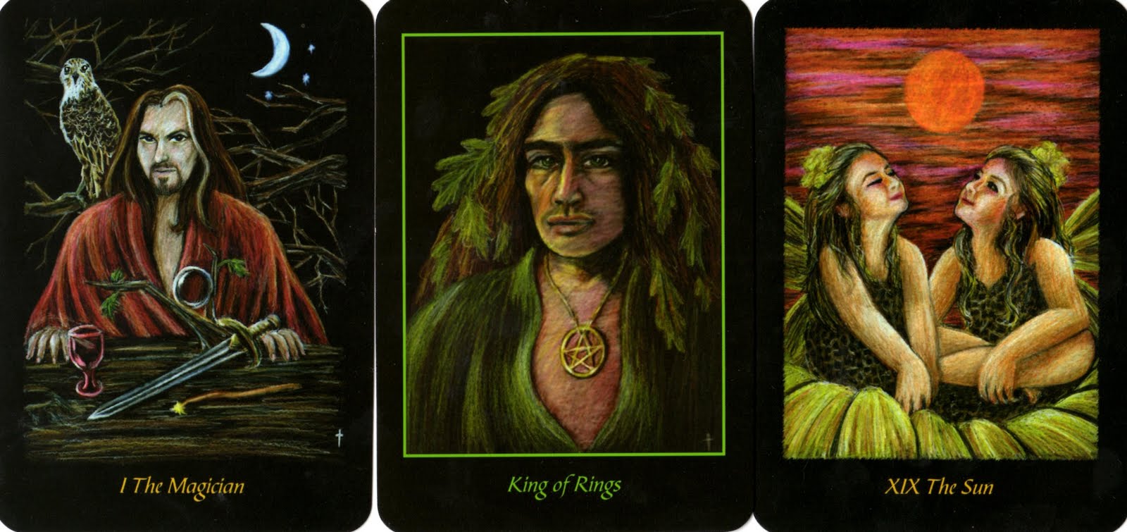 Daily Tarot Readings for 2011: Birth Date February 9th (Daily Tarot Readings 2011) Reflective Awakenings