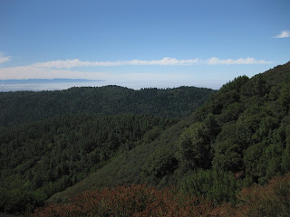 Fog layered over Monterey Bay in the distance