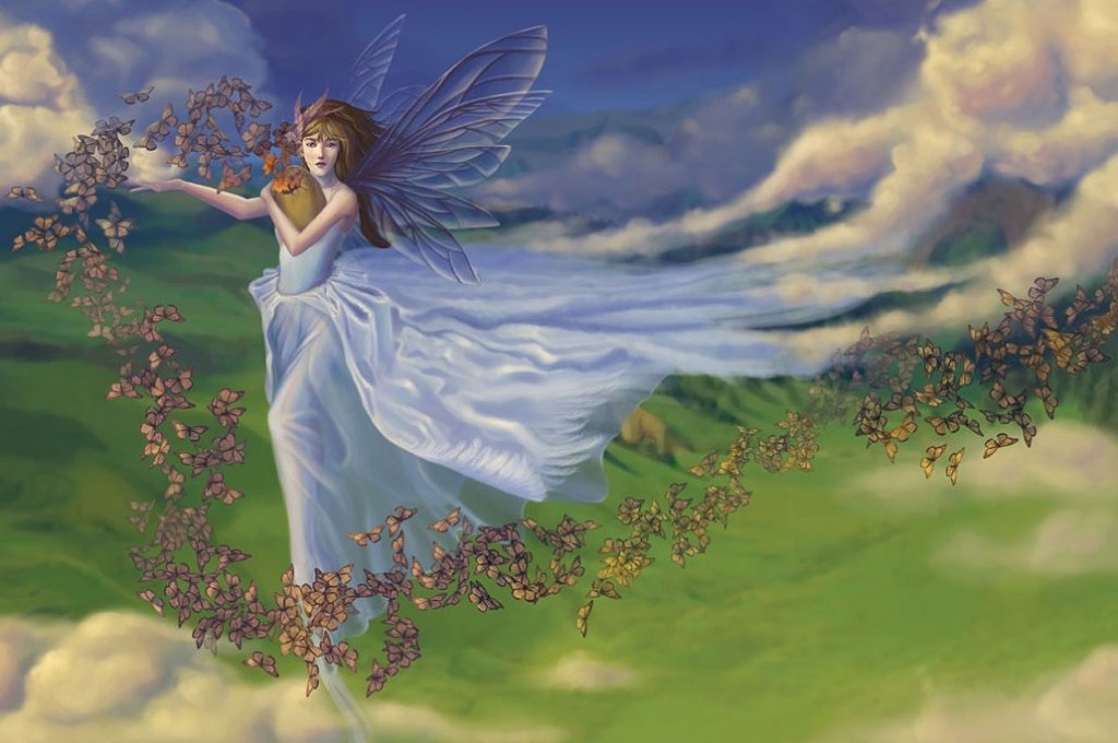 Afficher l'image d'origine